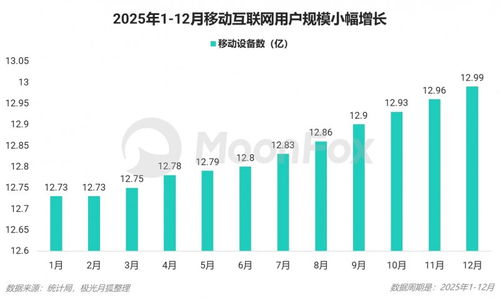 2025年第四季度移動(dòng)互聯(lián)網(wǎng)行業(yè)數(shù)據(jù)研究報(bào)告 數(shù)據(jù)服務(wù)領(lǐng)域的深度洞察