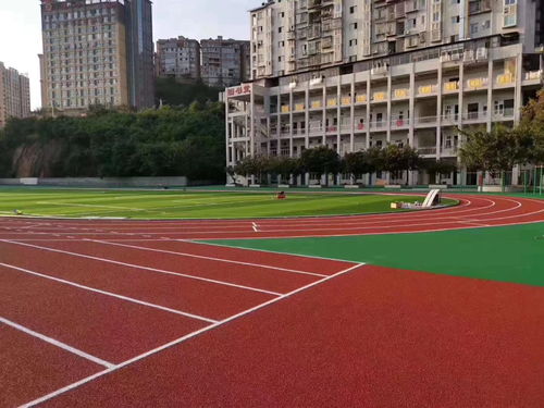 新國標(biāo)混合型塑膠跑道與新國標(biāo)預(yù)制型塑膠跑道 實(shí)用性與預(yù)制卷材優(yōu)勢(shì)對(duì)比