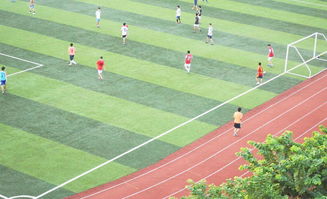 四川塑膠跑道廠家收費(fèi)與售后指南 預(yù)制型跑道卷材選購須知