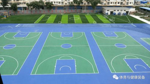 《學校運動場地合成材料面層推薦目錄(2020年版)》產品展播 塑膠場地預制型跑道卷材